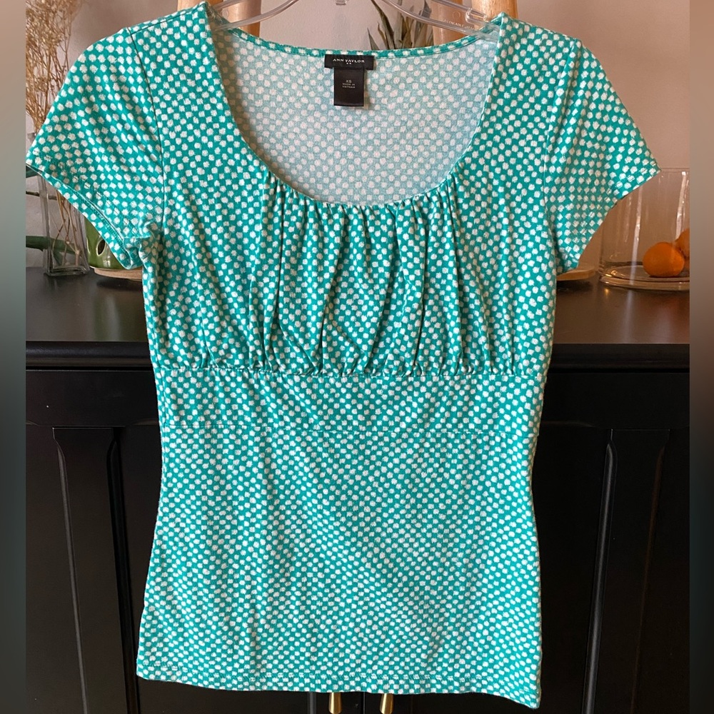 Ann Taylor XS short sleeve shirt.